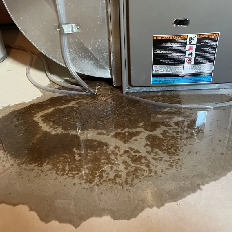 Pipe Burst and Leak Restoration in Harvey, IL