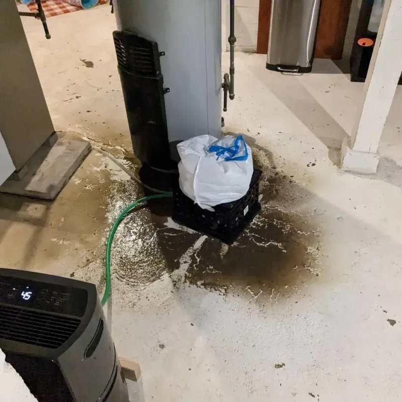 Sewage Backup Cleanup Service in Harvey, IL